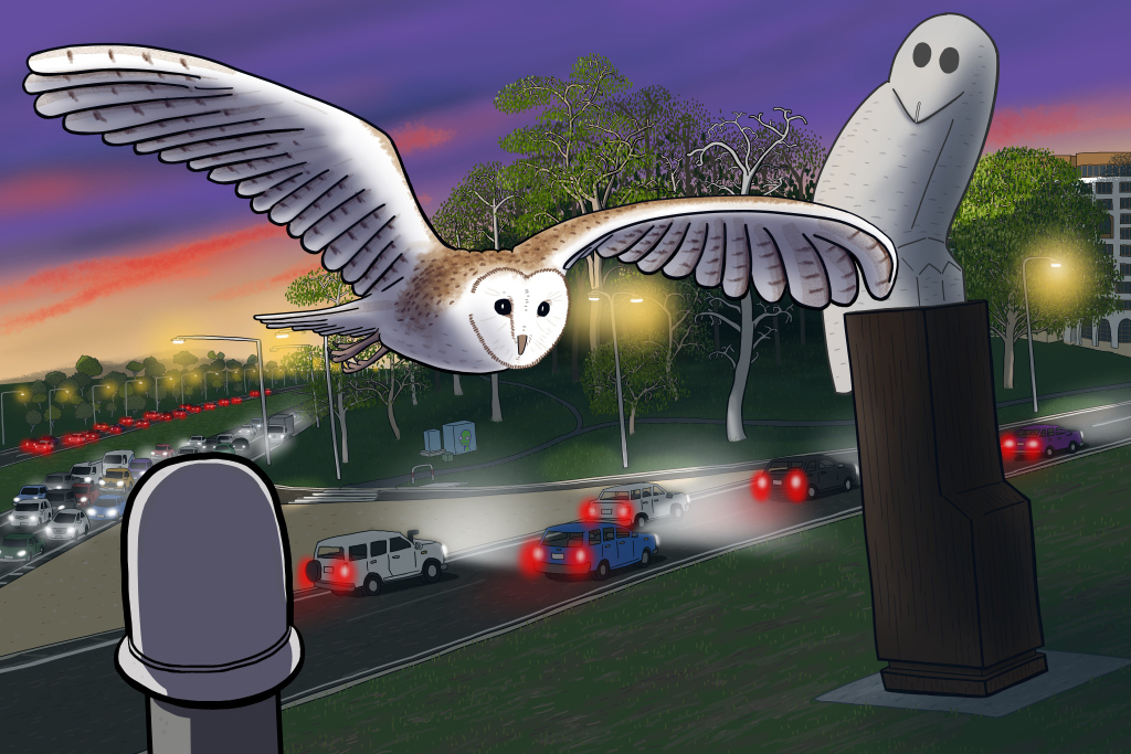 Artwork of Barn owl at the Belconnen Penis Owl by Stuart McMillen