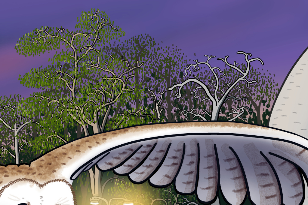 Artwork details: gum tree branchs behind the bird's wings