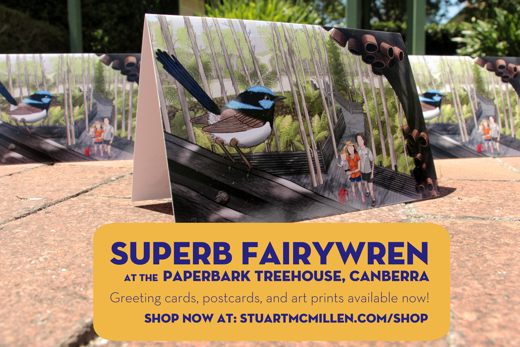 Superb fairywren at the Paperbark Treehouse: greeting cards, postcards, and art prints available at my online store