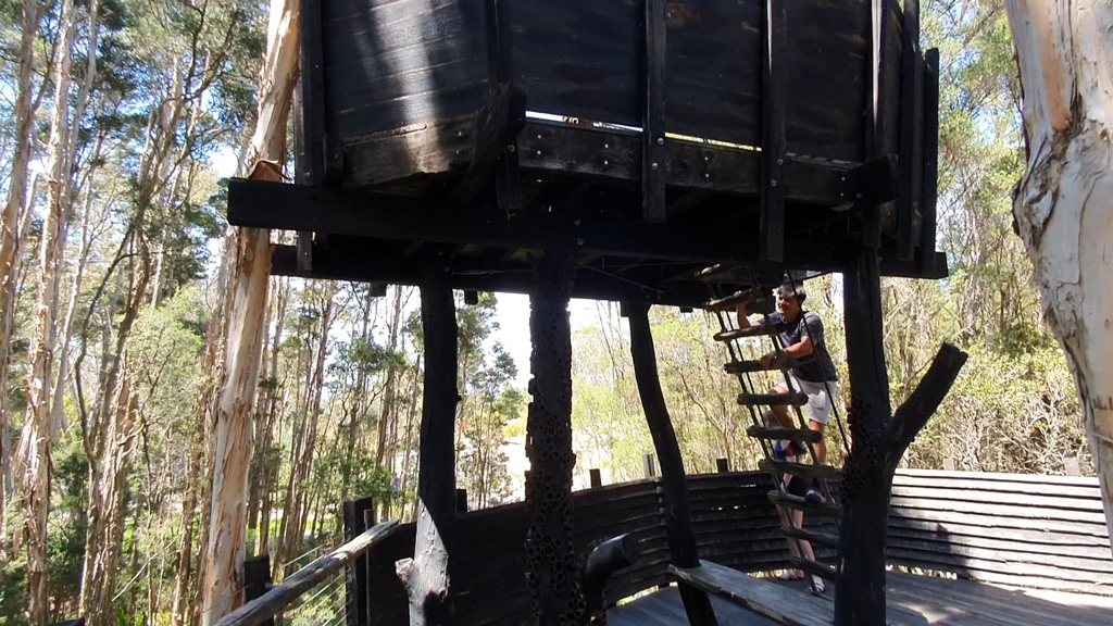 Person climbing the ladder up to the Paperbark treehouse's crow's nest