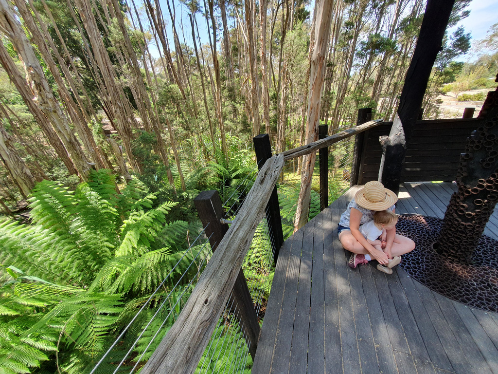 Ferns on the forest floor underneath the deck of the treehouse