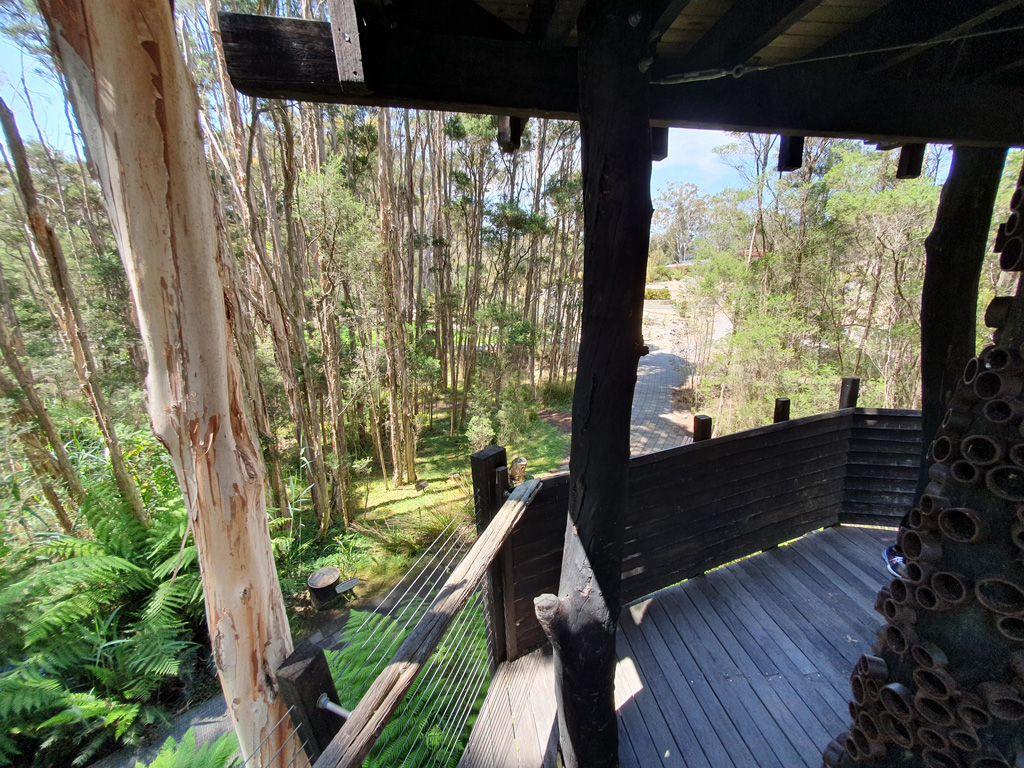 On the main deck of the Paperbark Treehouse looking through the melaleuca forest to the banksia garden