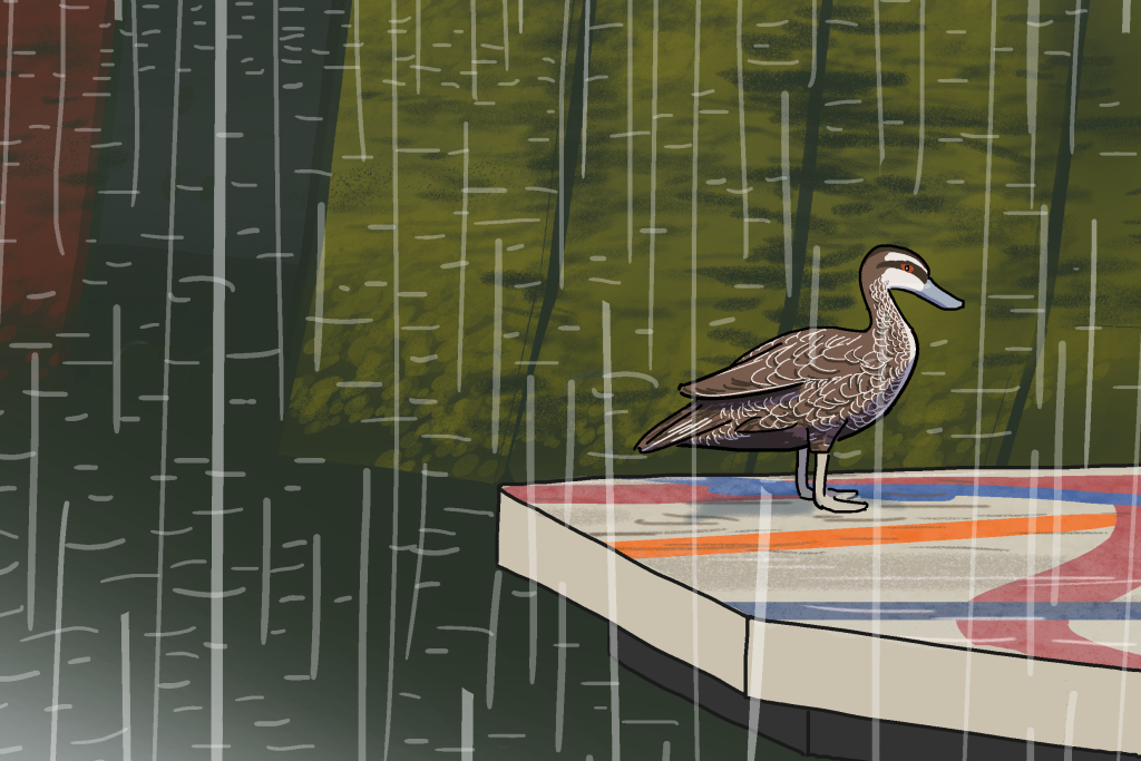 A duck stands next to a pond during a rainstorm